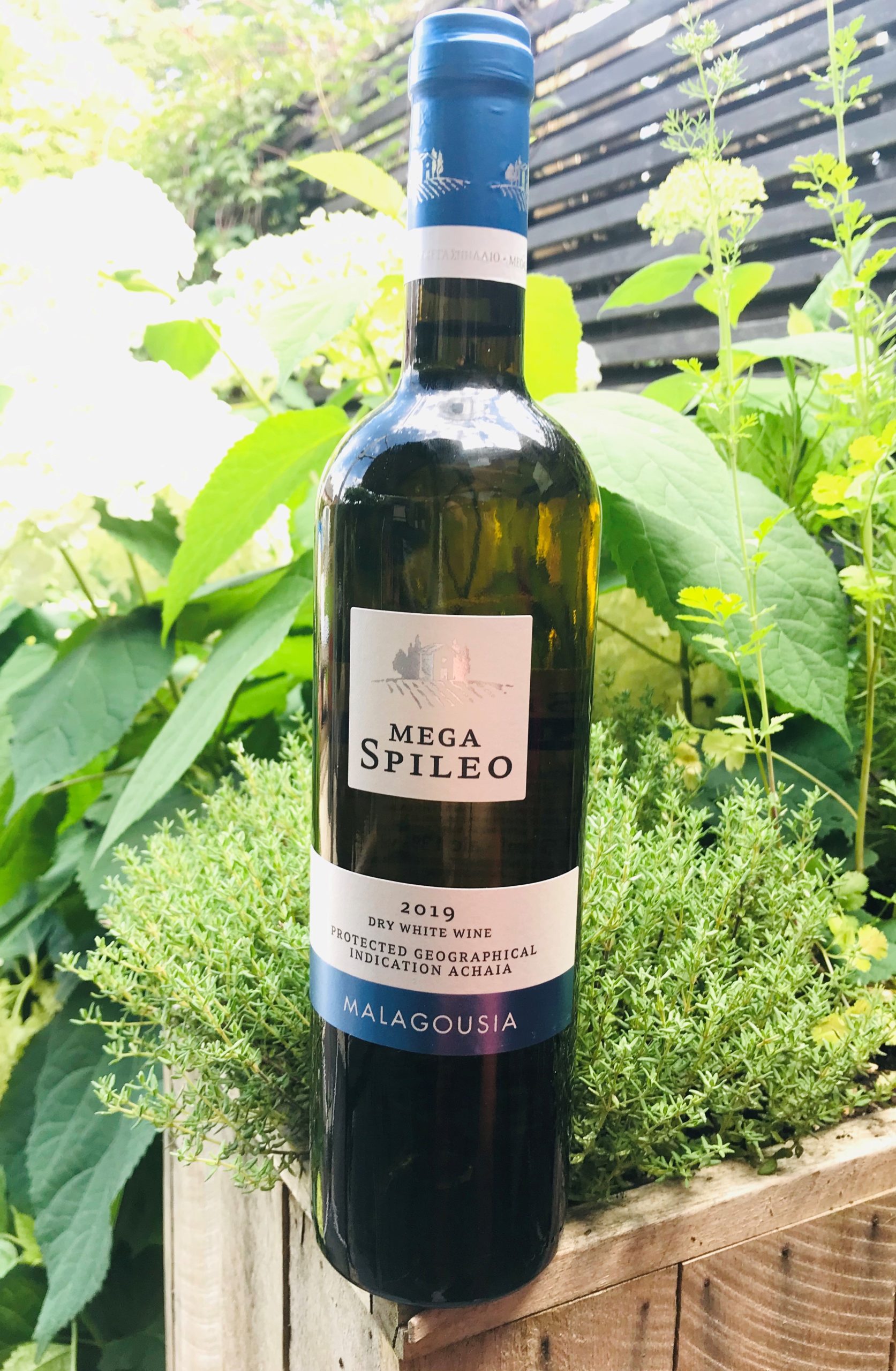 Mega Spileo Malgousia 2019